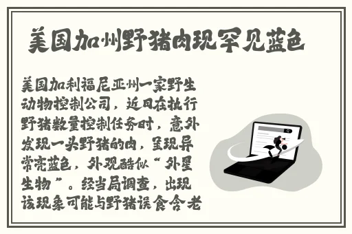 班长撩起胸让我的 蹭来蹭去